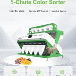 Affordable Corn Color Sorter From China: WESORT’s AI Guide